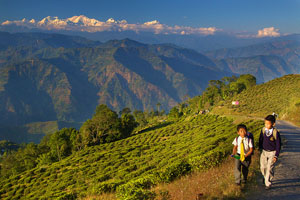 Darjeeling